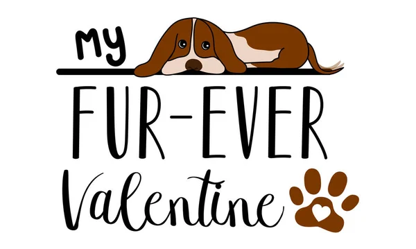 Fur Ever Valentine Isolado Fundo Branco Dog Lover Handwriting Design Ilustração De Stock