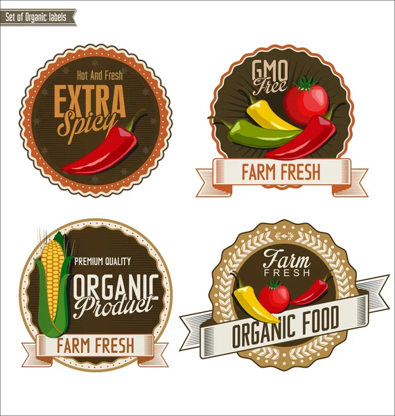 Zestaw organicznych i odznaki warzywa Bio w stylu Vintage — Wektor stockowy
