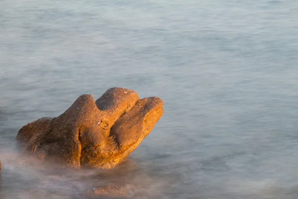 海の中の石 — ストック写真