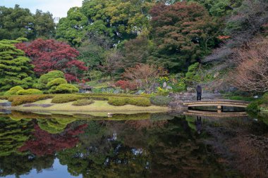 Japonya 'da sonbahar Japon bahçeli manzarayı terk eder