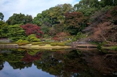 Japonya 'da sonbahar Japon bahçeli manzarayı terk eder