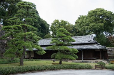 Japon bahçesinin muhteşem manzarası.