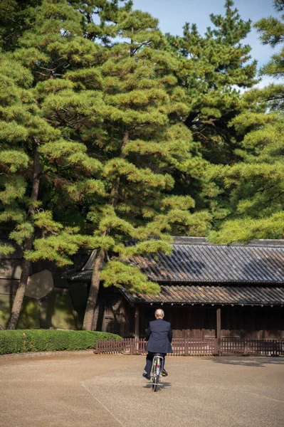 Antico Edificio Giapponese Nel Giardino Degli Alberi Autunnali — Foto Stock