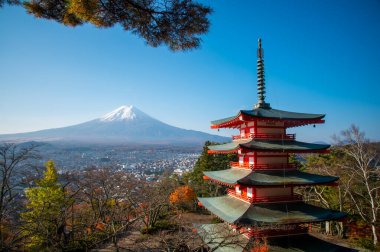 Chureito pagoda ve sabahları Fuji Dağı, sonbaharda Japonya