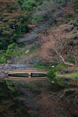Japonya 'da sonbahar Japon bahçeli manzarayı terk eder