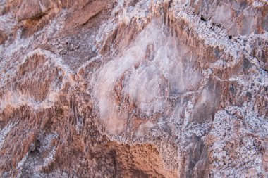 Valle de la Luna Şili 'de tuz kristalli haşin dinozor kayası