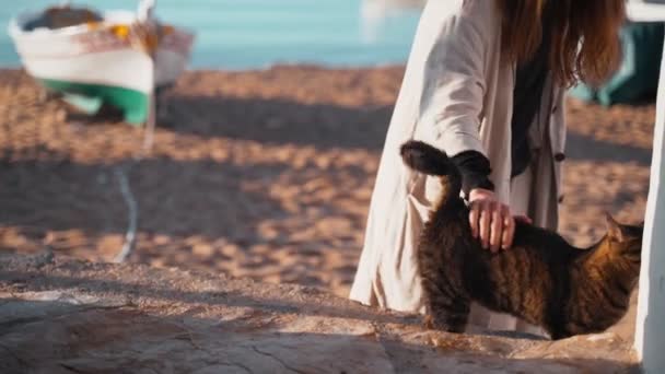 Jonge vrouw in een beige pak speelt met een kat aan de kust. Meisje streelt een grappige tijger met groene ogen kat. Leuke zwerfkat aan het chillen op een zonnige dag. pluizig dier op het strand. Vissersboten parkeren. — Stockvideo