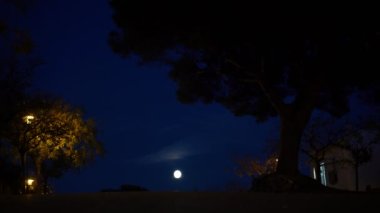Akşamları güzel Akdeniz köyü. Deniz kıyısındaki küçük bir kasabanın gece manzarası. İspanya 'da Calella de Palafrugell' in su ve ışıkları. Costa Brava tatili soğuk. Kumsaldaki beyaz evler..