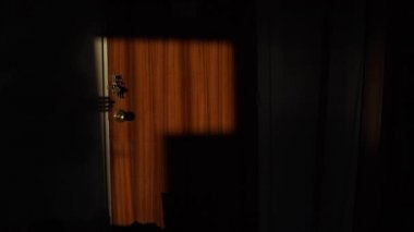 Kapıda korkunç bir el gölgesi var. Kapı kilidini açmaya çalışan bir hırsızın silueti. Elin anahtarlara uzanıyor. Dehşet. Evde bir manyak var. Bir apartman soygunu. Ev soygunu. Suç..