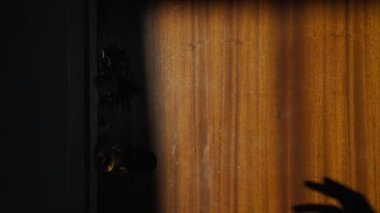 Kapıda korkunç bir el gölgesi var. Kapı kilidini açmaya çalışan bir hırsızın silueti. Elin anahtarlara uzanıyor. Dehşet. Evde bir manyak var. Bir apartman soygunu. Ev soygunu. Suç..