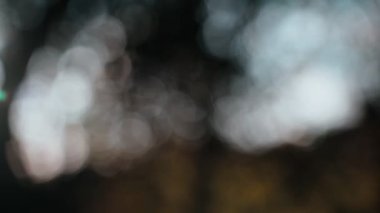 Soyut bokeh ışıkları. Ağaç dallarının arasından batan güneşin güzel görüntüsü bulanık. Altın güneş yaprakların arasından parlıyor. Altın saat. Ormanda akşam ışığı. Sihirli peri masalı atmosferi.