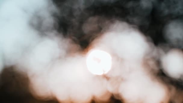 Lampu Bokeh abstrak. Pemandangan yang indah dari pengaturan matahari melalui cabang pohon. Matahari keemasan bersinar melalui daun. Jam emas. Malam cahaya di hutan. Suasana dongeng magis. — Stok Video