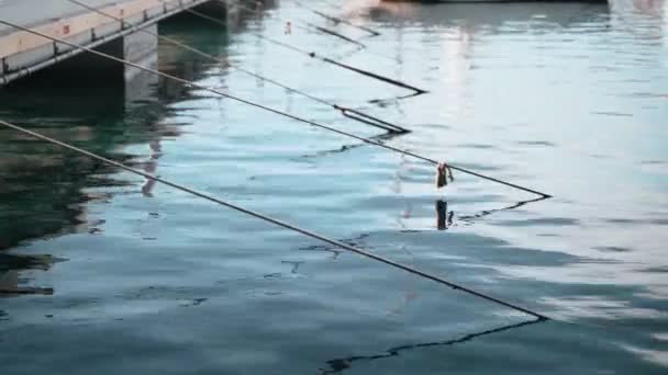Boat ropes are lowered into the water. Light breeze on the sea. Transparent sea water in the old boat port. Vintage boat station. Sun glare and light ripples on the water surface. Calm and tranquility — Stock Video