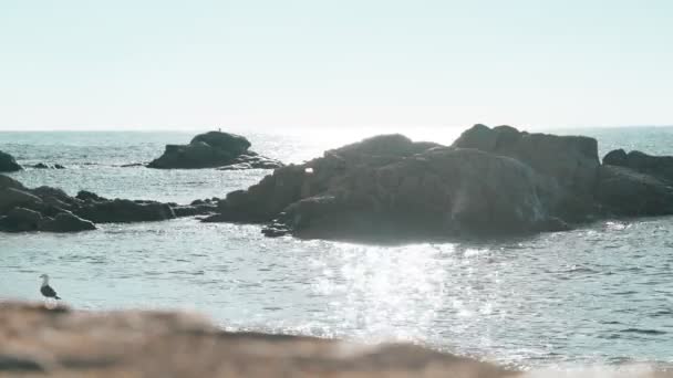 Pintoresca vista de la costa del mar. Mar azul brillante, rocas y playa de arena en un día soleado. Una gaviota solitaria pasea por la playa. Deslumbramiento solar y ondas de luz en la superficie del agua. Paisaje marino idílico. — Vídeo de stock