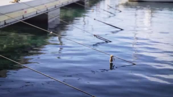 Les cordes des bateaux sont abaissées dans l'eau. Légère brise sur la mer. Eau de mer transparente dans le vieux port du bateau. Station de bateau vintage. Éblouissement du soleil et légères ondulations à la surface de l'eau. Calme et tranquillité — Video