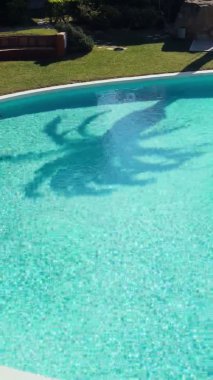 Havuzun su yüzeyindeki bir palmiye ağacının güzel gölgesi. Turkuaz suda hafif dalgalar ve güneş parlıyor. Havuz kenarında sıcak, güneşli bir gün. Yaz soğuğu. Palmiye yaprakları rüzgarda sallanıyor. Tatiller.