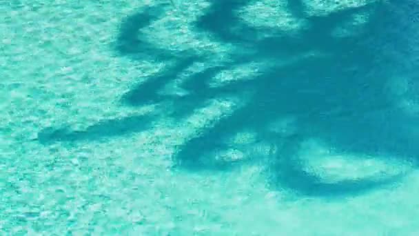 Bella ombra di una palma sulla superficie dell'acqua in piscina. Ondate di luce e bagliore del sole sull'acqua turchese. Calda giornata di sole a bordo piscina. Calma estiva. Le foglie di palma ondeggiano nel vento. Vacanze. — Video Stock