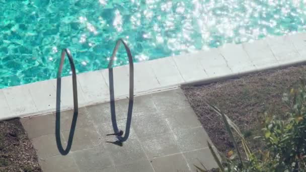 Un uccellino che gironzola in piscina. Ondate di luce e bagliore del sole sull'acqua turchese. Calda giornata di sole a bordo piscina. Calma estiva. Vacanze. Corrimano piscina. — Video Stock