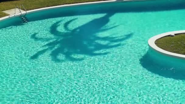Schöner Schatten einer Palme auf der Wasseroberfläche im Pool. Leichte Wellen und Sonnenblendung auf türkisfarbenem Wasser. Heißer, sonniger Tag am Pool. Sommerkälte. Die Palmblätter wiegen sich im Wind. Urlaub. — Stockvideo