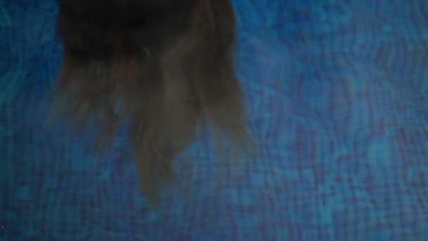 Gros plan de longs cheveux bruns coulant dans l'eau bleue. Fille aux cheveux longs se détendre dans la piscine. Une jeune femme aux cheveux mouillés passe une journée d'été dans l'eau bleue fraîche. Refroidissement estival. Des vacances. Vacances — Video