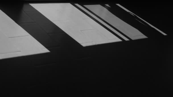 Divertido bulldog francés y un hombre en el apartamento. Hermosas sombras geométricas en movimiento de contraste cerca de las ventanas. Siluetas abstractas. El dueño y su amigo mascota. De día. Blanco y negro — Vídeo de stock