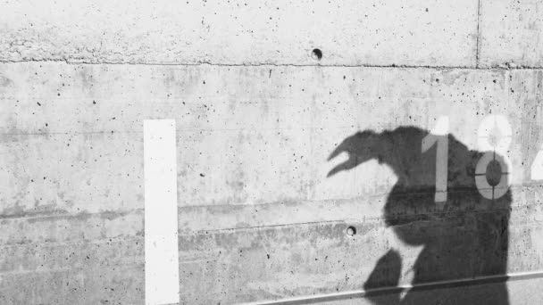 Ombre sur le mur de béton de l'homme dans le sweat à capuche ombre de boxe. Activité sportive matinale en ville. Mode de vie sain. Athlète sur le parking. Sport urbain. Exercice en plein air par une journée ensoleillée. — Video