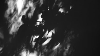 Dalların ve yaprakların güzel gölgeleri duvarda. Rüzgarda sallanan bitki siluetleri. Beyaz arka planda sevimli botanik çizimleri. Soyut hareket eden gölgeler. Yaprakların canlı düzeni.