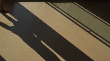 Komik gri buldog ve dairede çıplak ayaklı siyah şortlu bir adam. Pencerelerin yanında hareket eden güzel kontrastlı geometrik gölgeler. Soyut siluetler. Sahibi ve evcil arkadaşı. Işık