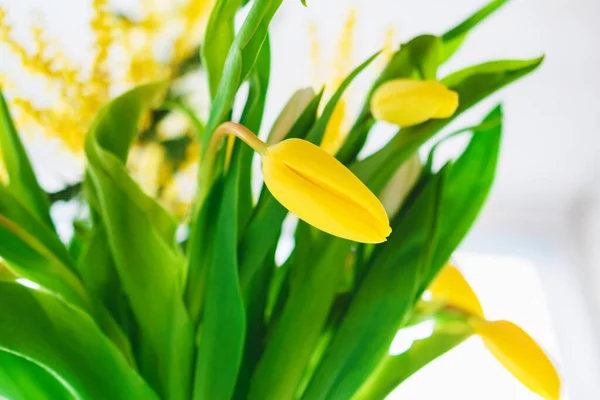 Brotes Amarillos Tulipanes Ramo Primavera — Foto de Stock