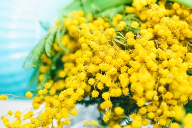 Bir buket mimoza ile bahar arkaplanı.