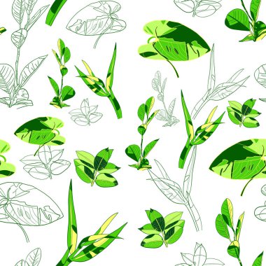 Beyaz arka planda yeşil yapraklar. Yapraklı kusursuz desen.