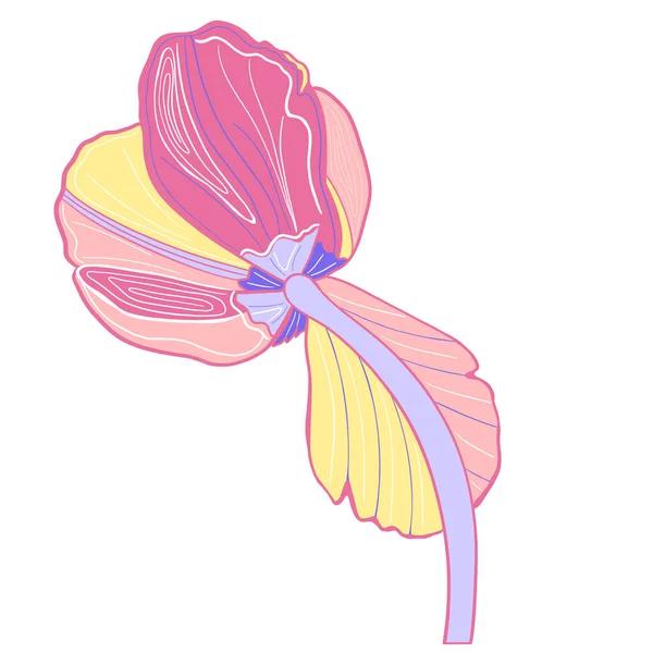 Uma Tulipa Rosa Num Fundo Branco Ilustração Floral Flor Rosa — Fotografia de Stock