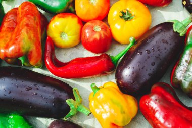 Biber, patlıcan ve beyaz arka planda su damlaları olan domatesler. Renkli sebze arka planı. Bahçeden sonbahar hasadı. Sağlıklı yemek..