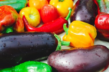 Biber, patlıcan ve beyaz arka planda su damlaları olan domatesler. Renkli sebze arka planı. Bahçeden sonbahar hasadı. Sağlıklı yemek..