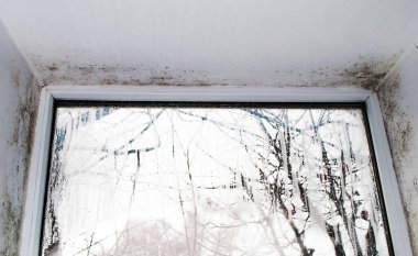 Pankart. Pencerenin yanında küf var. Penceredeki buğulanma.