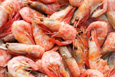 Kaynamış karides, arka plan. Tasarım ve ambalaj için tam çerçeve.