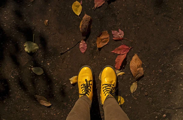 Jesienny Nastrój Ktoś Jasnożółtych Butach Stoi Kałuży Spadających Jesiennych Liści — Zdjęcie stockowe