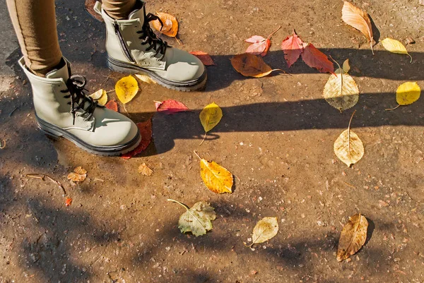 Buty Ziemi Jesiennymi Liśćmi — Zdjęcie stockowe