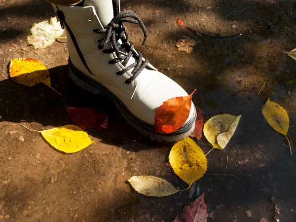 Boot Ground Autumn Leaves — Stock Photo, Image