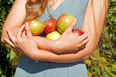 Aydınlık bir günde, elma bahçesindeki genç bir kadın. Bir buket kırmızı elma tutuyorum. Kırpılmış görünüm.