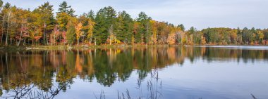 Sonbahar renk koleksiyonu