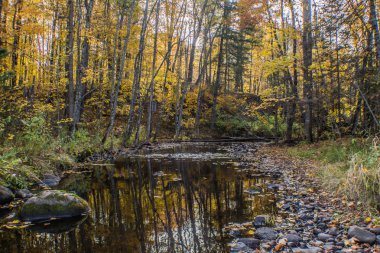 Sonbahar renk koleksiyonu