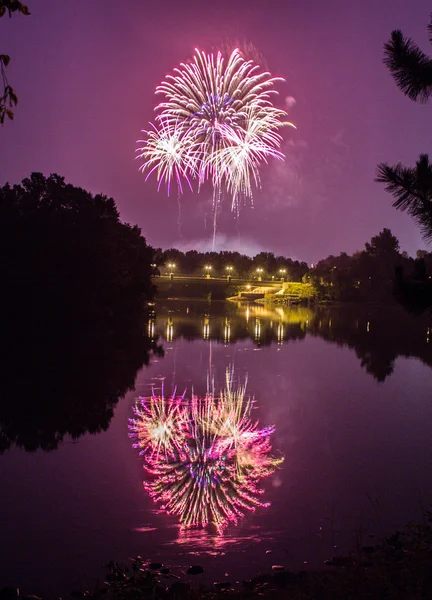 Fireworks in the sky — Stock Photo, Image