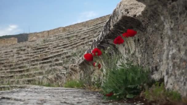 Αρχαία Πόλη Της Ιεράπολης Στην Παμουκάλε Της Τουρκίας — Αρχείο Βίντεο