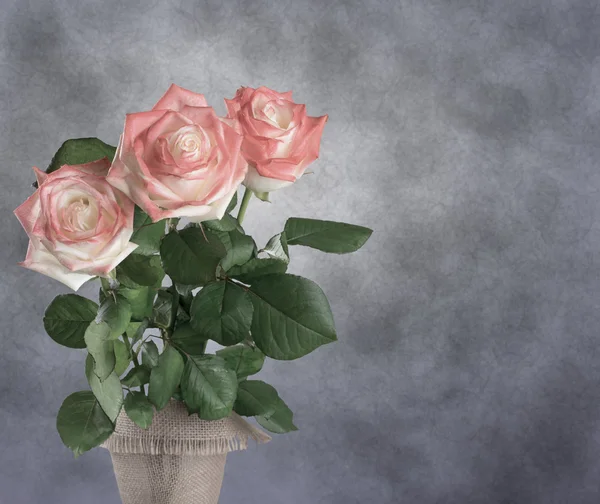 Rosas no fundo da parede vintage — Fotografia de Stock