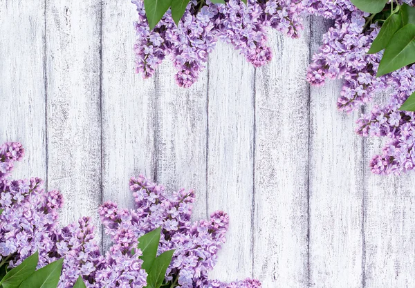 Lilac flowers on shabby wooden planks — Stock Photo, Image