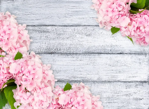 Hortensias sobre tablones de madera en mal estado —  Fotos de Stock