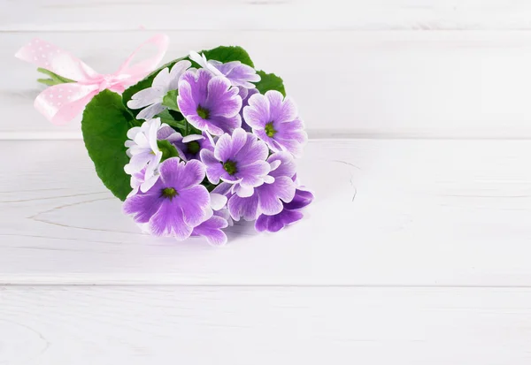 Boeket van Primula in Shabby chique stijl — Stockfoto