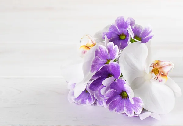 Boeket van de Primula en orchid — Stockfoto