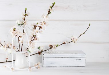 Kayısı çiçek ve rose ile eski vintage tabut ile kuş kafesi 